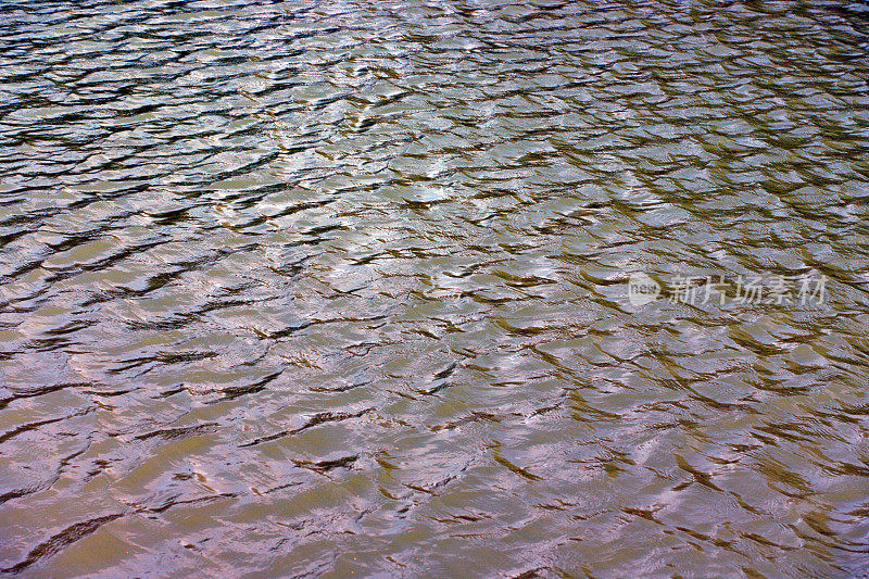 在干燥晴朗的夏日，城市公园池塘的水面上泛起涟漪