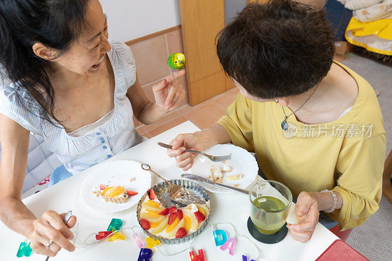 和宠物在家里庆祝生日