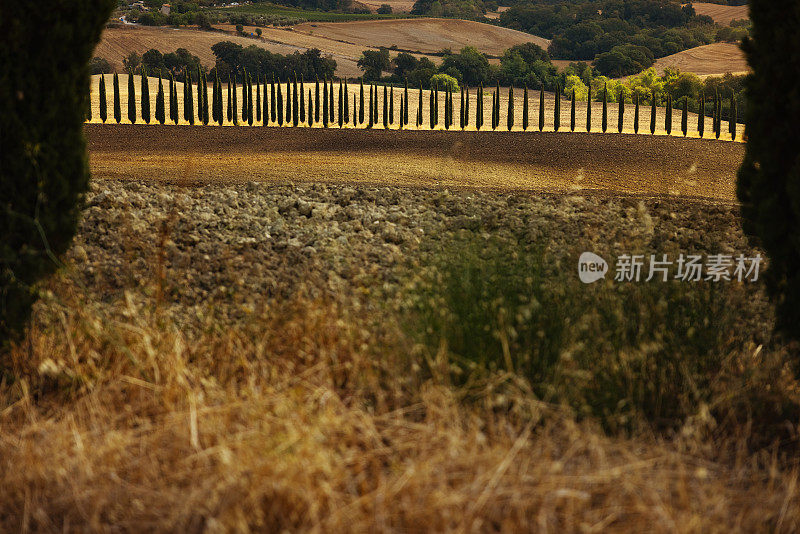 风景和乡村:标志性的托斯卡纳户外