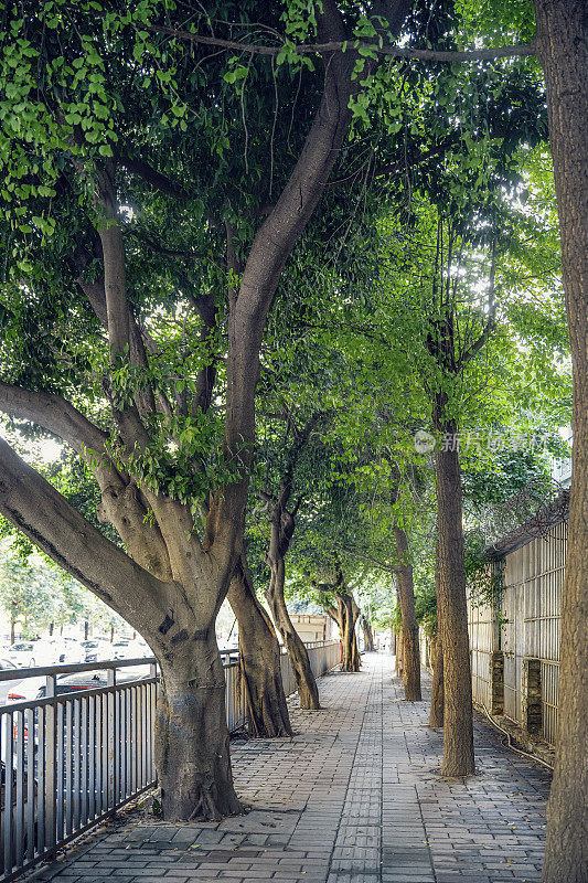 成都城市道路和路灯