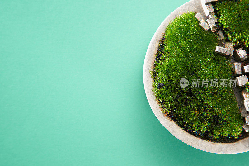 苔藓植物在混凝土花盆和花园手套上的绿色背景