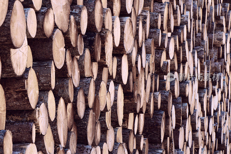木材工业原木堆木桩