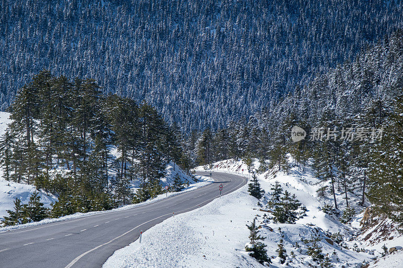 清晨，山上长满了树木，铺满了白雪，铺满了道路，道路自然景观