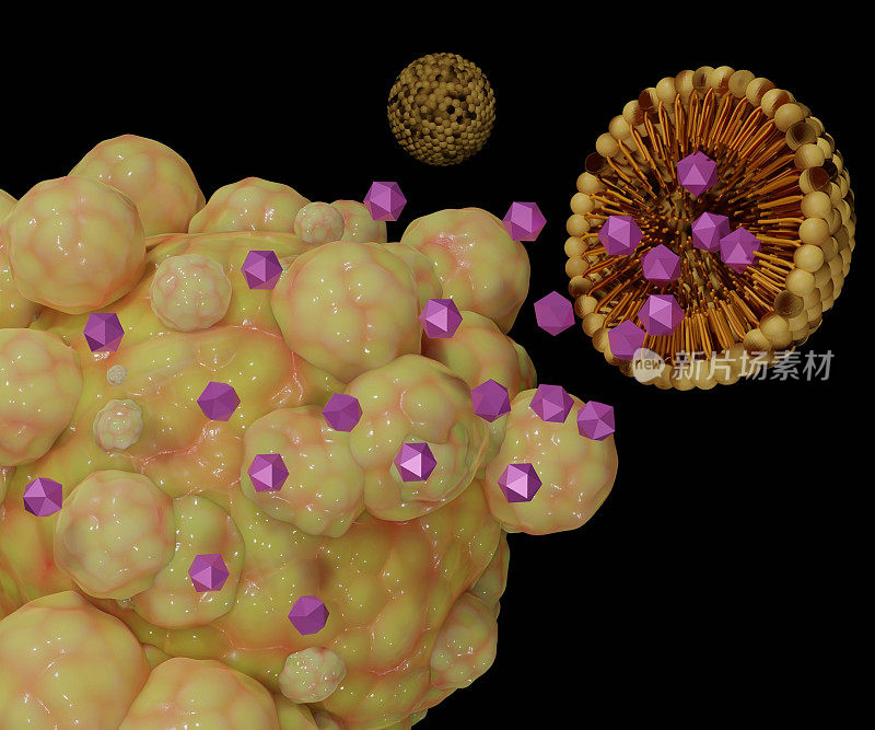 脂质体包裹的纳米药物靶向癌细胞