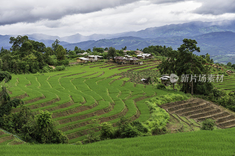 梯田，清迈，泰国