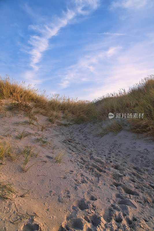 丹麦海边的海滩穿越。海岸上有沙丘、沙水和云