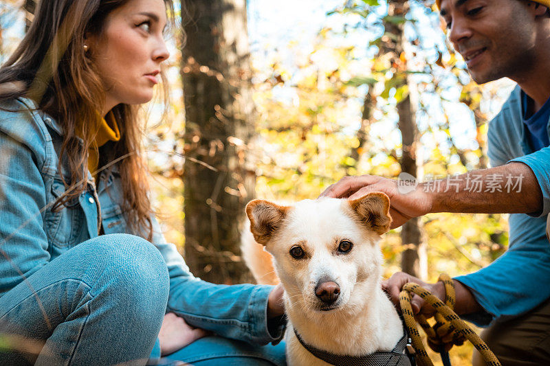 一对夫妇在秋天的森林里遛狗。