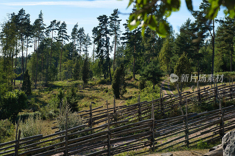 走在瑞典的小路上，沿着古老的木栅栏。森林、草地、天空