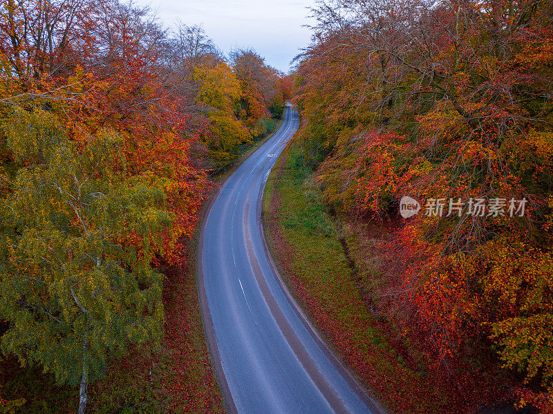 鸟瞰蜿蜒的道路穿过秋天的树木