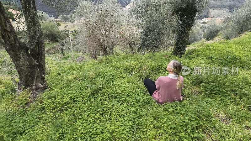 成熟的女人放松在橄榄林，在丘陵设置
