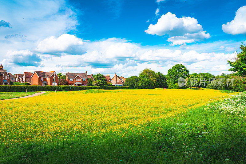 英国城镇景观与盛开的油菜籽前景在英格兰英国