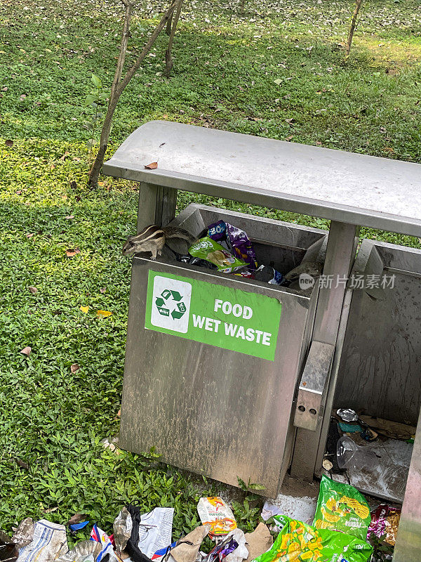 垃圾回收标志的图像上的金属垃圾桶与两个隔间在公园，垃圾箱与黑色聚乙烯垃圾袋里面，溢出垃圾在草坪上，重点在前景