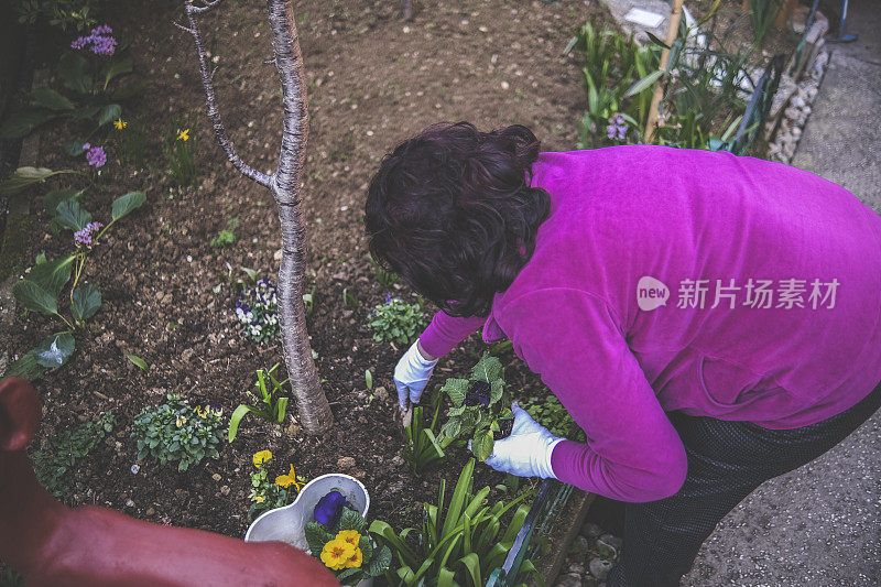 奶奶的建议:在你开始种植之前，看看土壤的质地