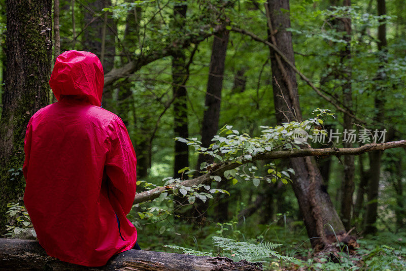 一个穿着红色连帽雨衣的男人独自在森林里