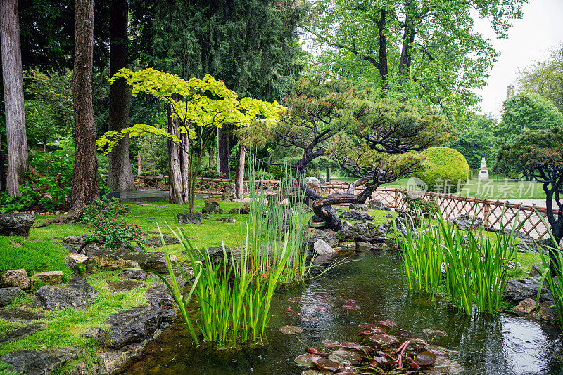 日本花园中的日本花园(植物园的一部分)