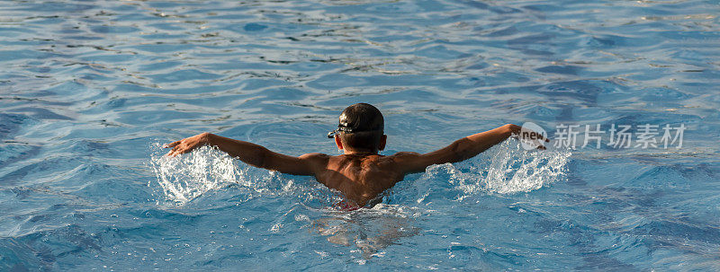 年轻运动员在夏日阳光明媚的户外游泳池游泳的背影。男孩游泳运动员游蝶泳。宽横幅