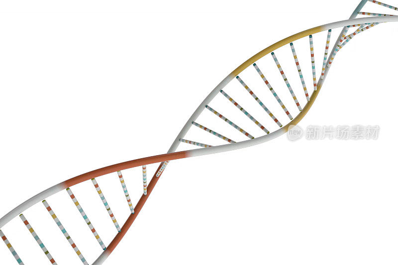 DNA与生物技术概念