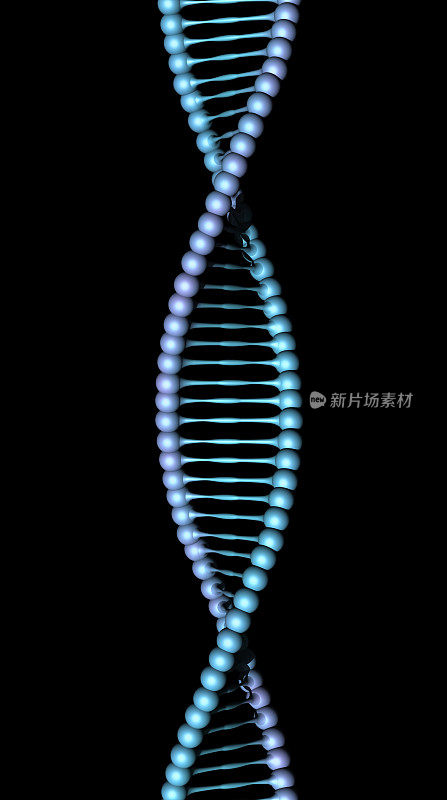 黑色DNA螺旋