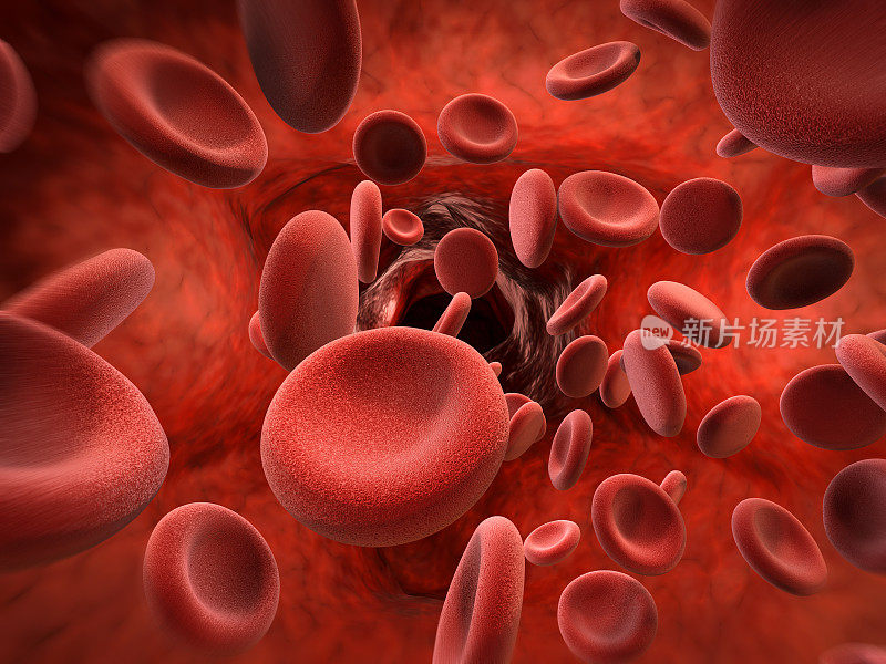 静脉中的红细胞