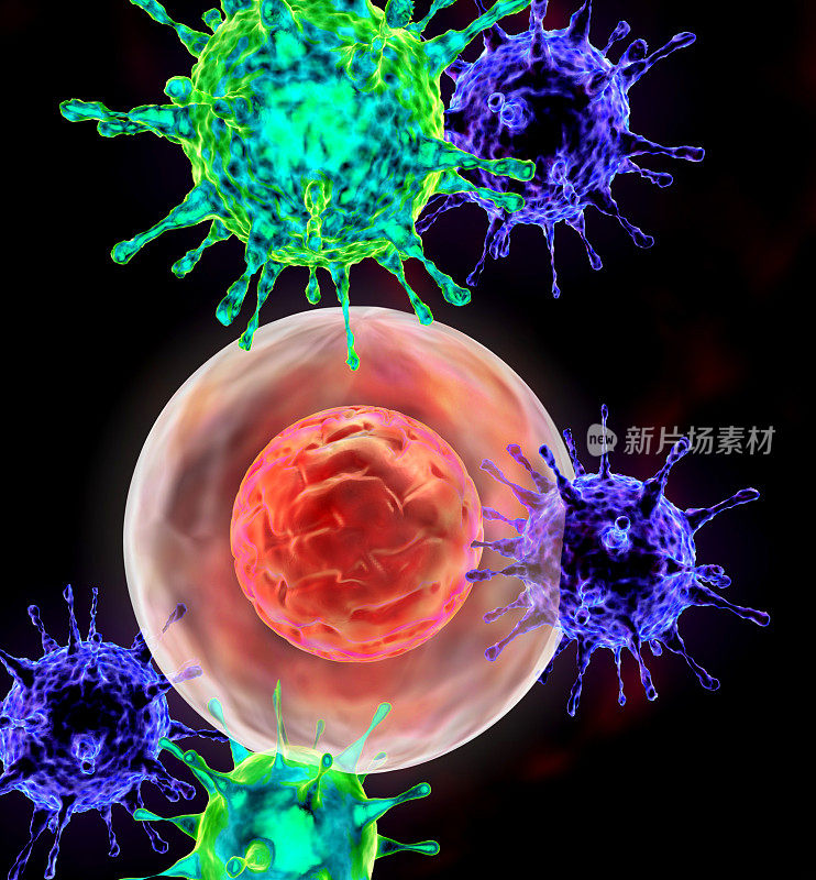 被病毒、细菌攻击的胚胎分裂的医学插图