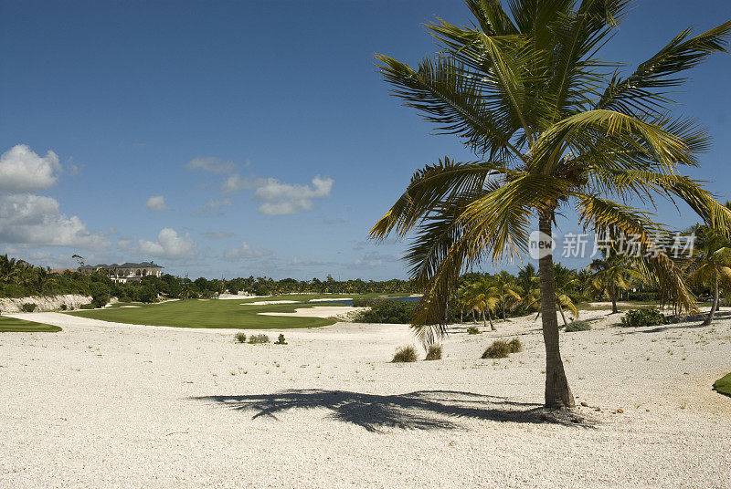 热带沙滩高尔夫球场，蓬塔米塔，墨西哥