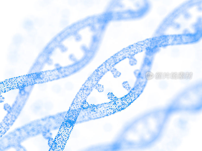 简化的DNA分子结构