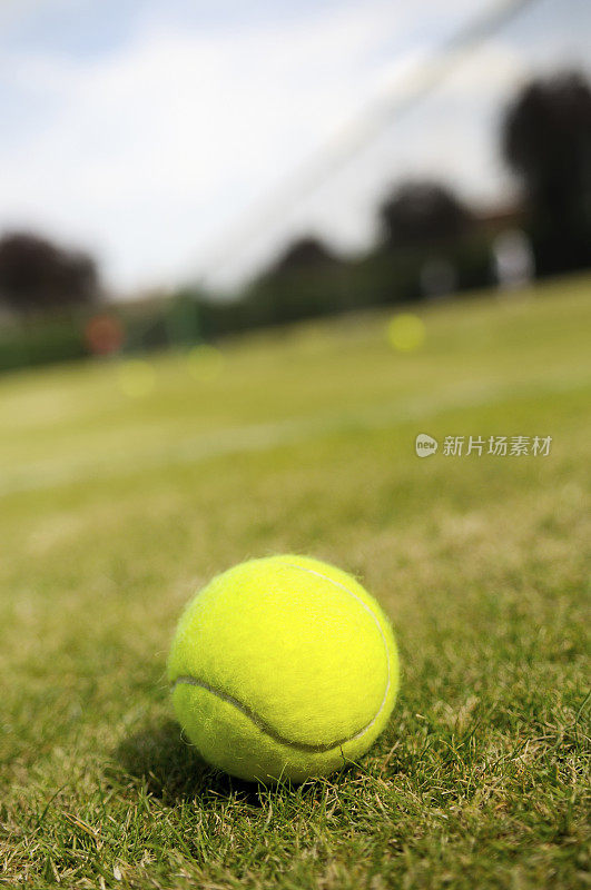 草地网球