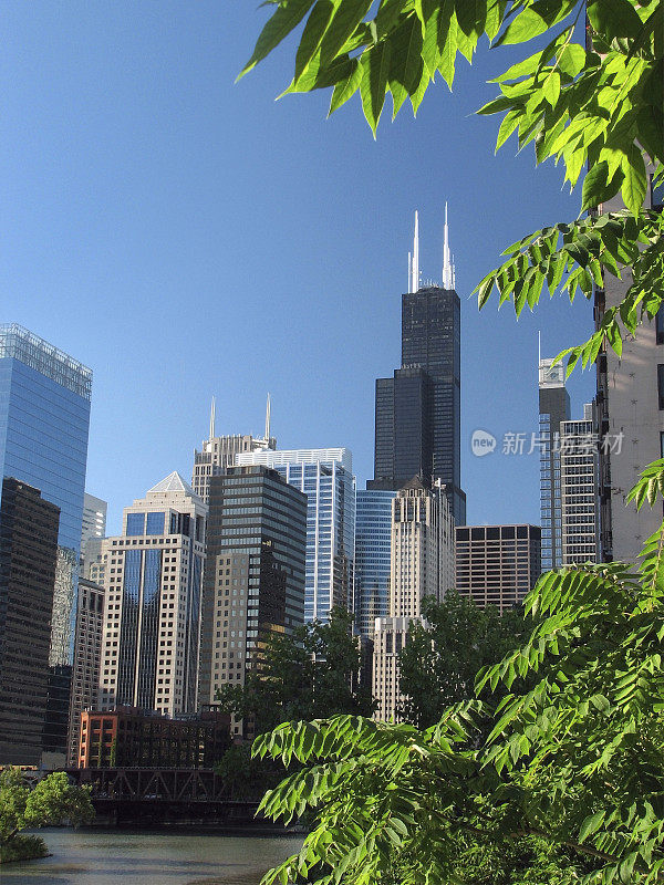 芝加哥西尔斯大厦和市中心