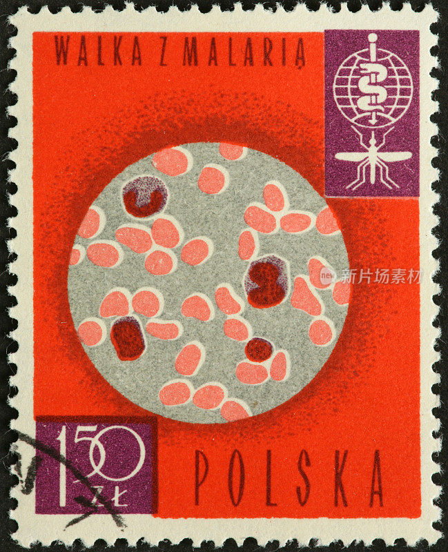显微镜下的疟疾寄生虫邮票