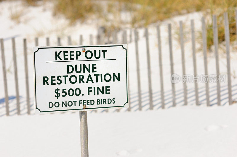 保持沙丘恢复不喂鸟