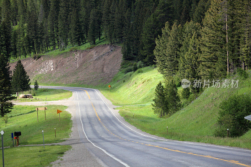 空旷的蒙大拿山区公路与森林在夏天