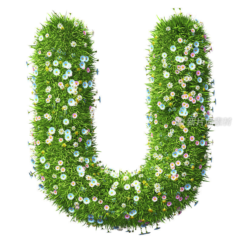 字母U的草和花