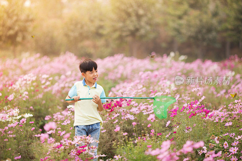 一个亚洲男孩在花园里捉了一只蝴蝶
