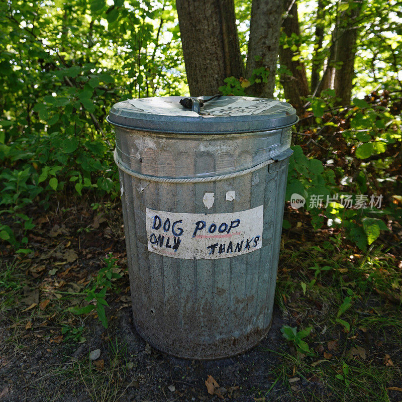 在森林公园里，狗只拉金属垃圾桶
