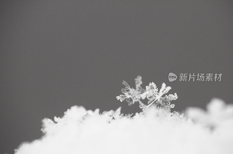 雪花晶体近距离