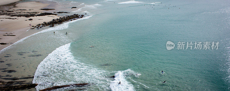 岩石Boardriders,鲷鱼