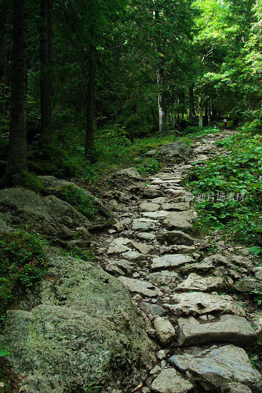 山间的小路