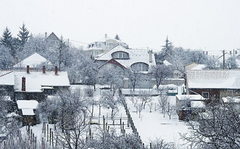 下雪的景色