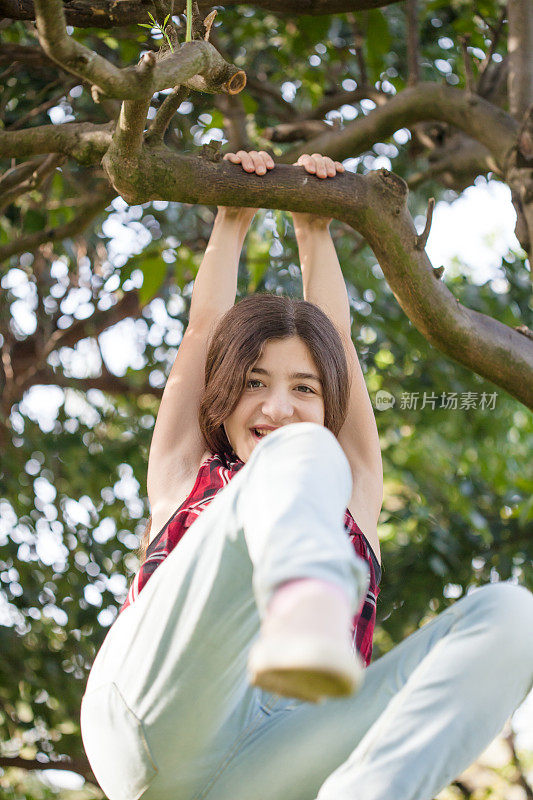 少女紧紧地抱在树枝上