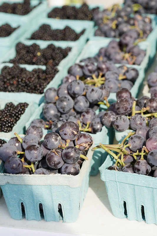葡萄和黑莓