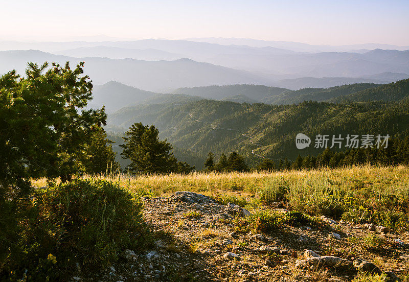 美丽的早晨