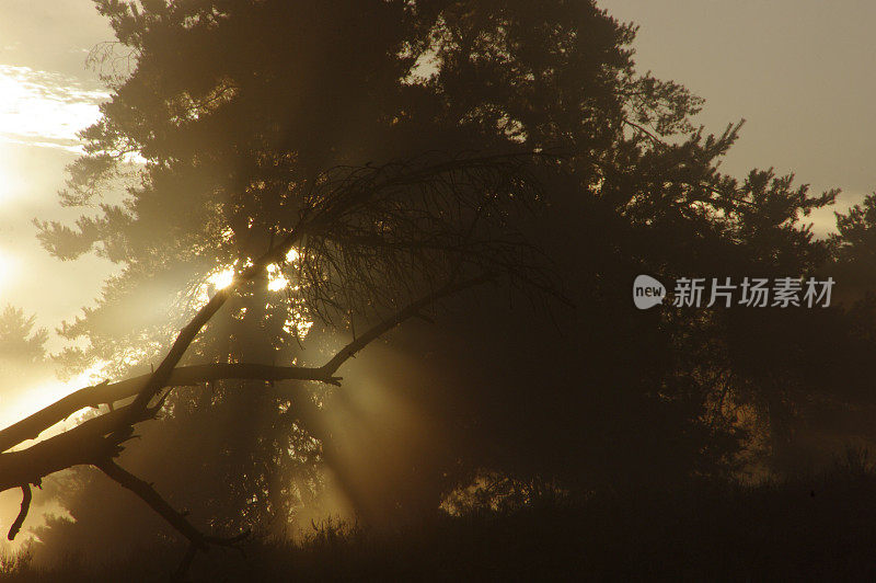 神秘的日出在荒地