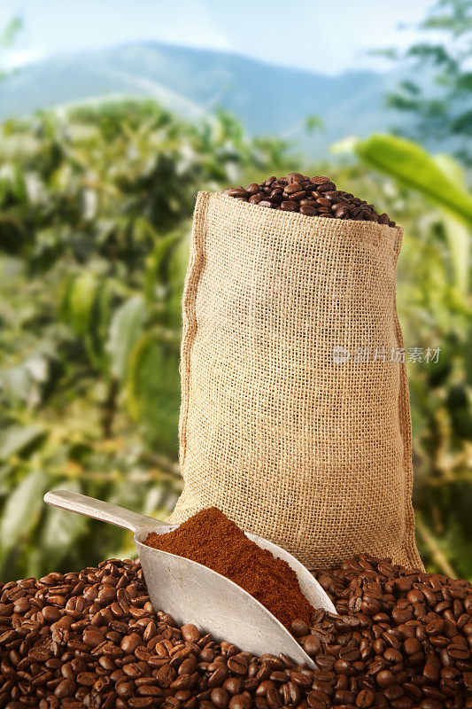 咖啡袋和后面的种植