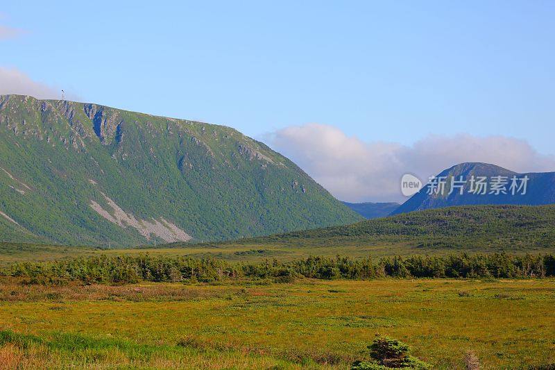 纽芬兰山景