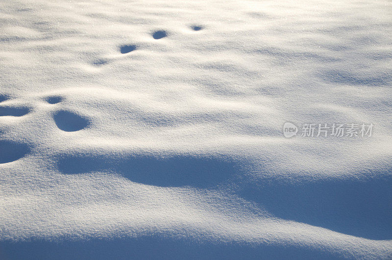 清晨刚下过雪