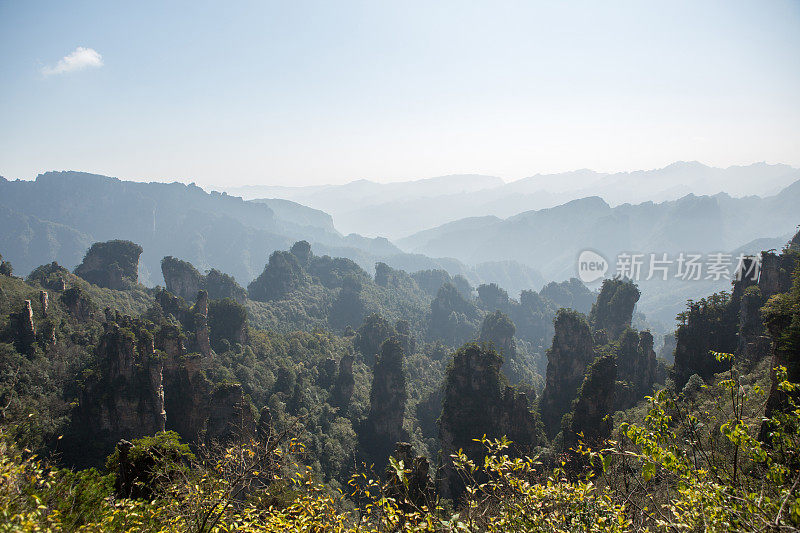 砂岩柱，张家界国家森林公园，中国