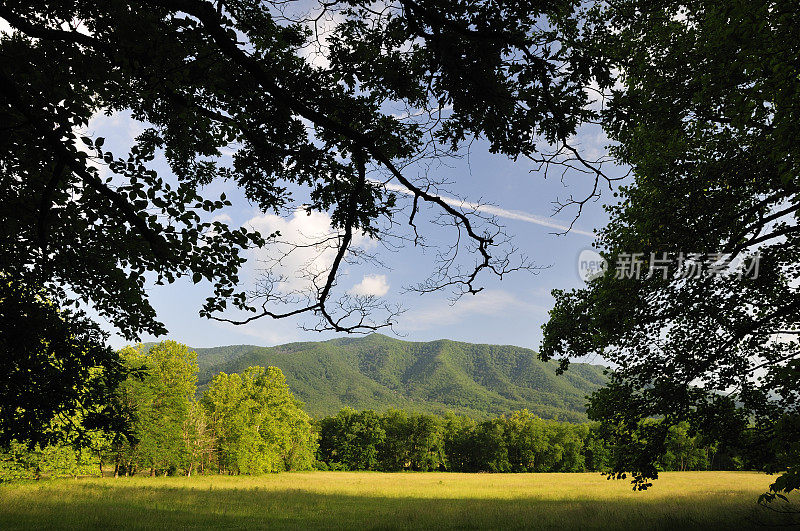 大烟山国家公园，凯德斯湾的晚春