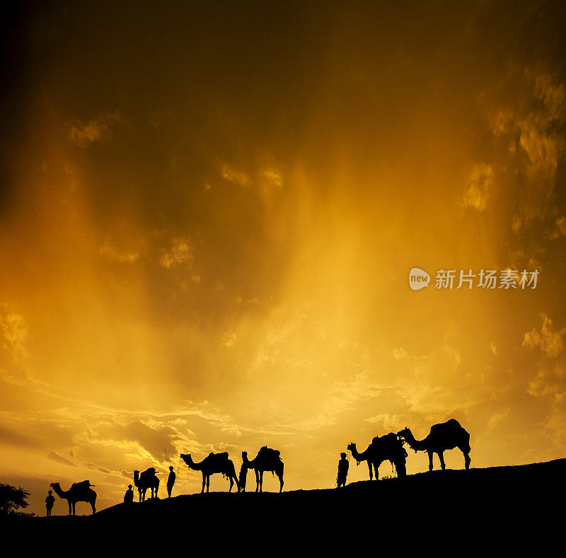 骆驼商队穿过沙漠