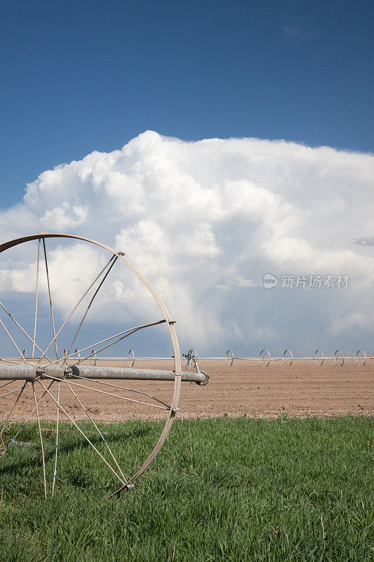 戏剧性的积云天空在农田与灌溉