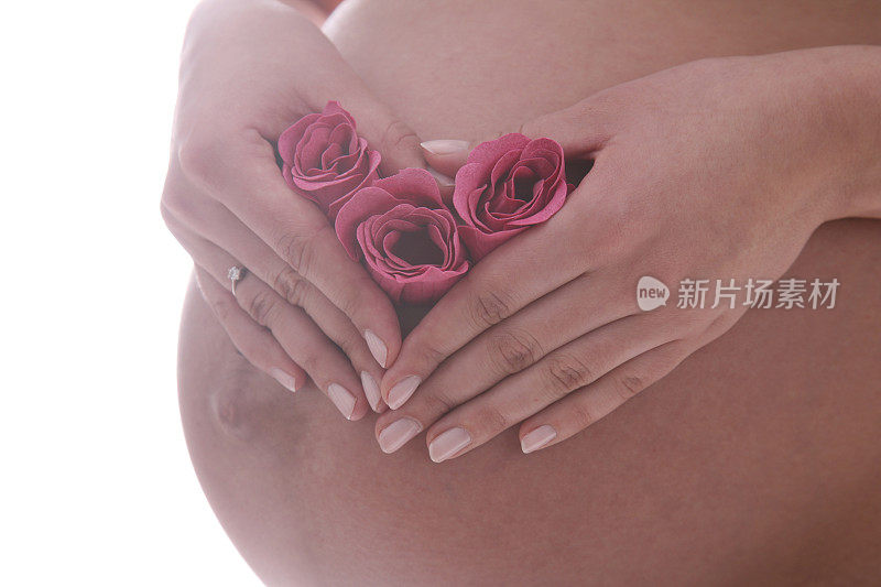 美丽孕妇的肚子与玫瑰